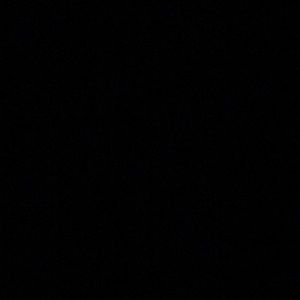 Meet your Posher, Dante